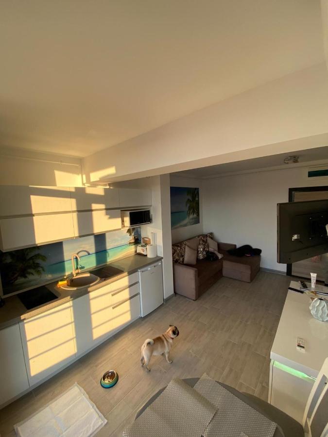 Apartament Edu Beach Resort Năvodari 외부 사진